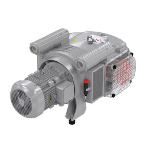 Becker VTLF 2.200 vacuum pump